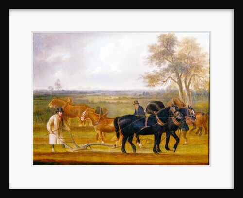 The Ploughing Match, 1813 by Thomas Weaver