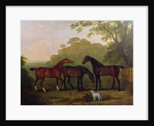 Hunters at Grass by John E. Ferneley