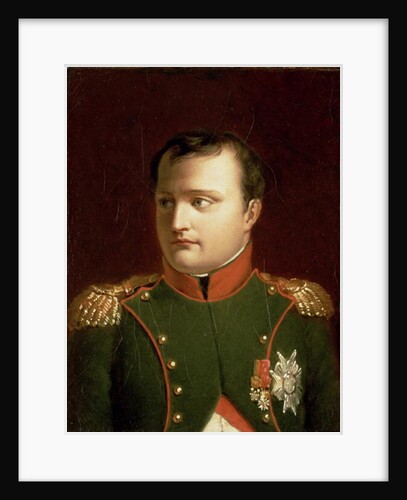 Napoleon Bonaparte by Jacques Louis David