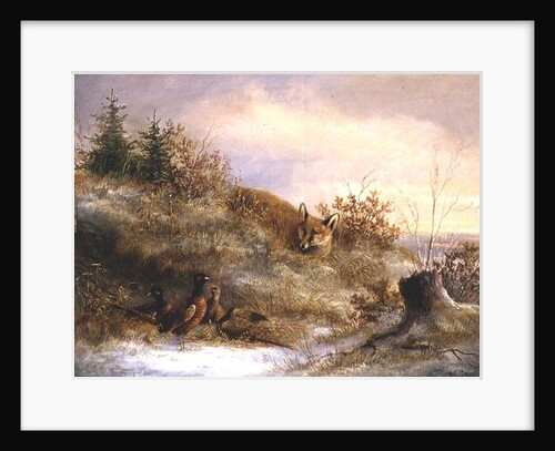 Fox and Pheasants in Winter by Anonymous