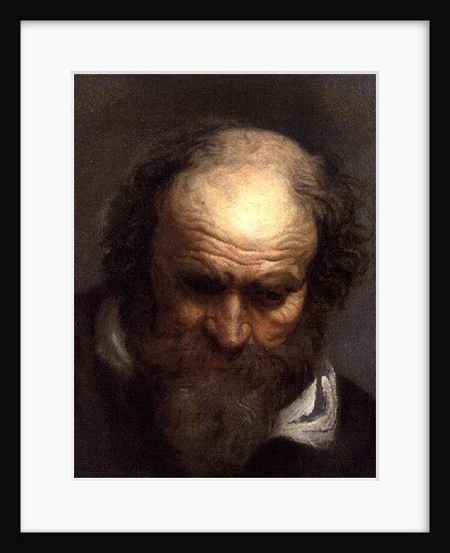 Head of an Old Man by Jacob Jordaens