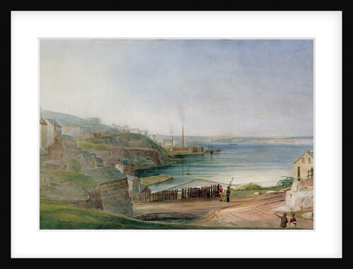Darling Harbour from Millers Point by Frederick Garling