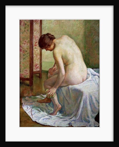 The Bather by Theo van Rysselberghe