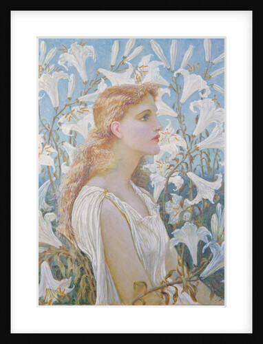 Lilies, 1893 by Walter Crane