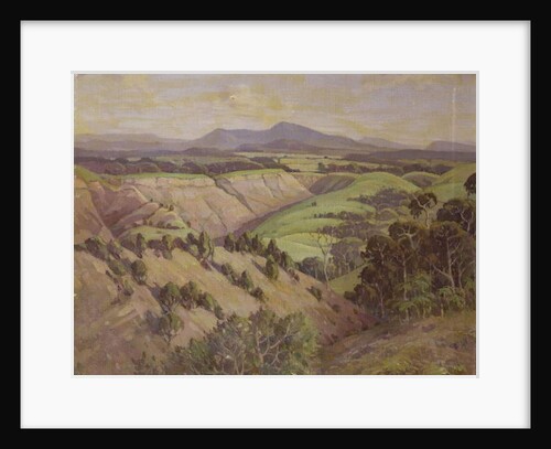 The Mamaku Valley by John Duncan