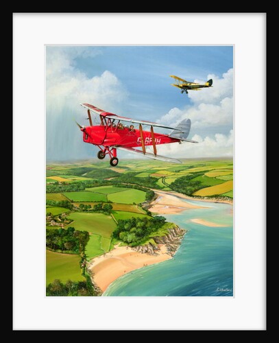 Mothecombe Moths, 1999 by Richard Wheatland