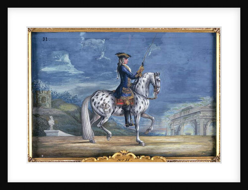 No. 11 An appaloosa horse of the Spanish Riding School by Baron Reis d' Eisenberg