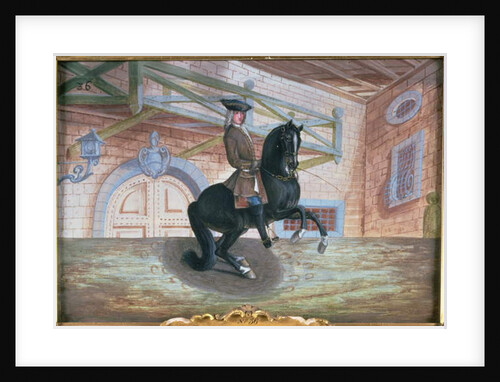 No. 36 A brown bay horse of the Spanish Riding School performing a pirouette near the ground by Baron Reis d' Eisenberg