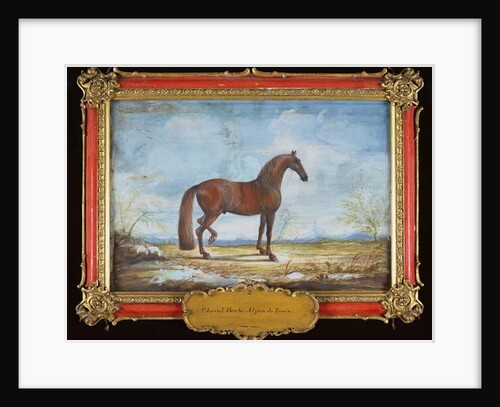 No. 2 'Alzan de Tunis', a Barbary horse of the Spanish Riding School by Baron Reis d' Eisenberg