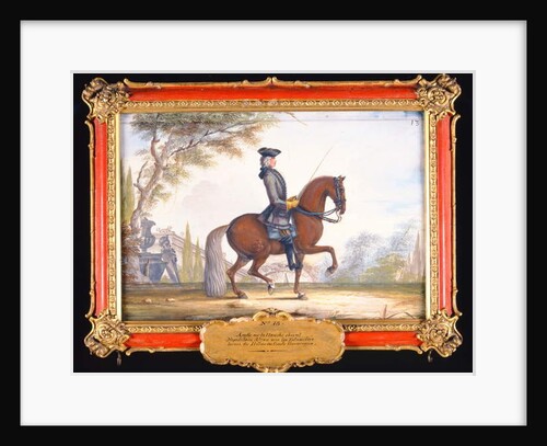 No. 13 Dressage steps performed by a neapolitan horse of the Spanish Riding School called Alzan by Baron Reis d' Eisenberg