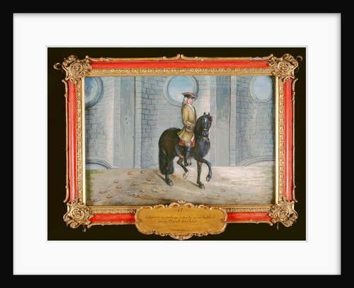 No. 17 A dark bay horse of the Spanish Riding School performing a 'shoulder-in' dressage step by Baron Reis d' Eisenberg