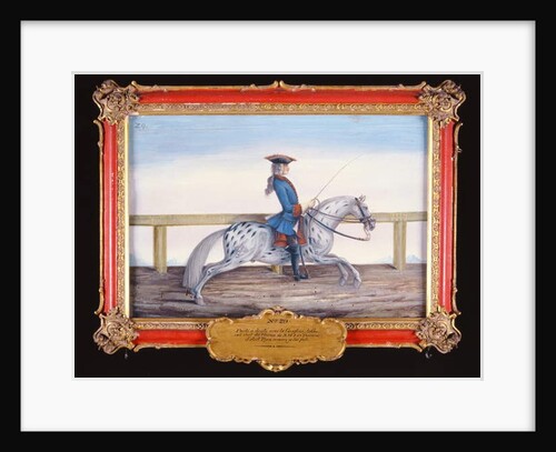 No. 29 A dappled grey horse of the Spanish Riding School performing a dressage movement by Baron Reis d' Eisenberg