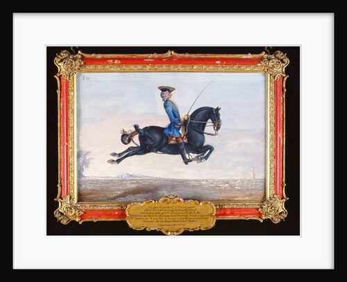 No. 50 A jet black horse called 'Curioso' performing a dressage movement called a 'Capriole' by Baron Reis d' Eisenberg