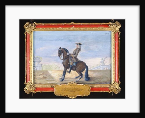 No. 54 A Danish chestnut bay horse of the Spanish Riding School performing a dressage movement by Baron Reis d' Eisenberg