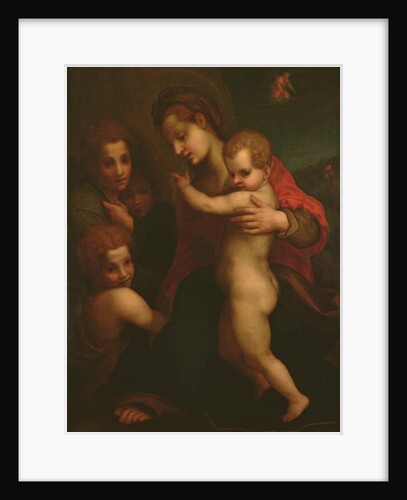 Madonna and Child, St. John and two Angels by Andrea del Sarto