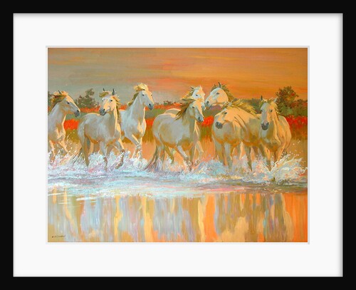 Camargue by William Ireland