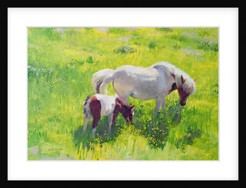 Piebald horse and foal by William Ireland