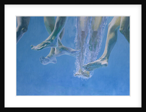 Plunge by William Ireland