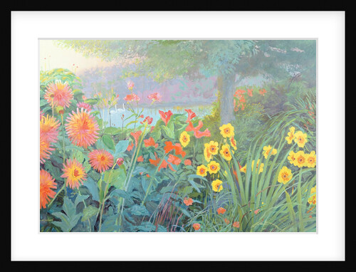 Swans by William Ireland