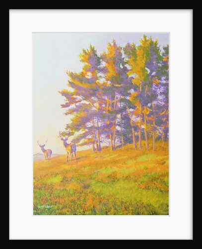 Startled by William Ireland