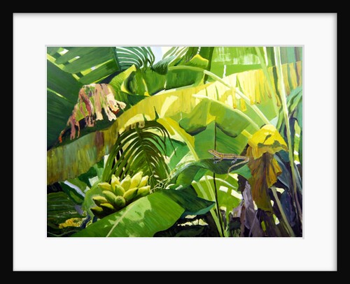 Gekko by William Ireland