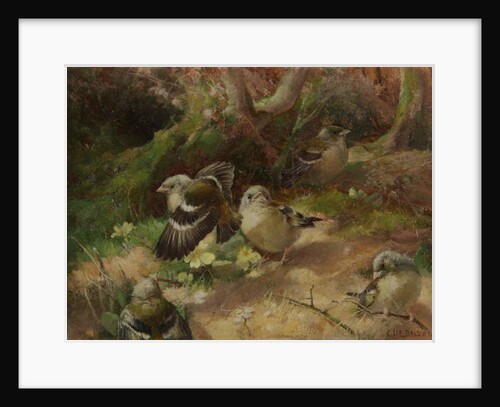 In Happy Woodland by Charles Henry Clifford (attr. to) Baldwyn