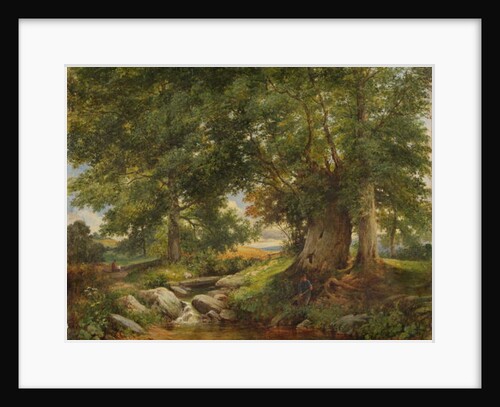 A Trout Stream near Worcester, 1866 by Henry Chaplin