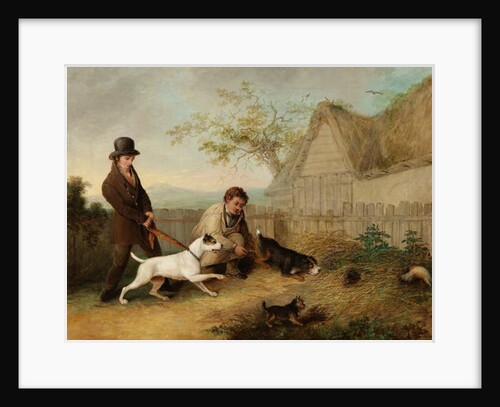 Rat Catching by Thomas Woodward