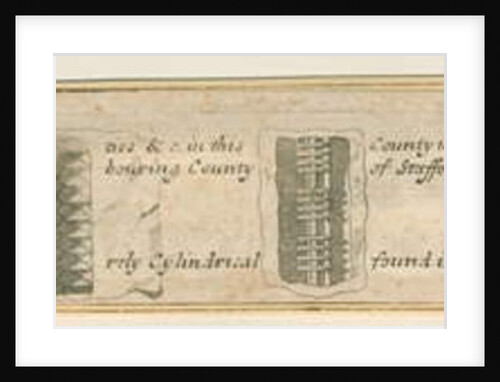 Abbots Bromley: engraved strips of sections of fossil stones, nd. [?19th cent] by Anonymous Anonymous