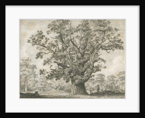 Needwood - Swilcar Oak by Jacob George Strutt