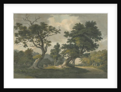 Needwood Forest by School English