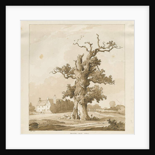 Eccleshall - Baden Old Hall by Thomas Peploe Wood