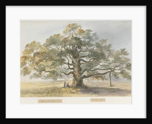 Blithfield - Beggar's Oak by Henry James Noyes