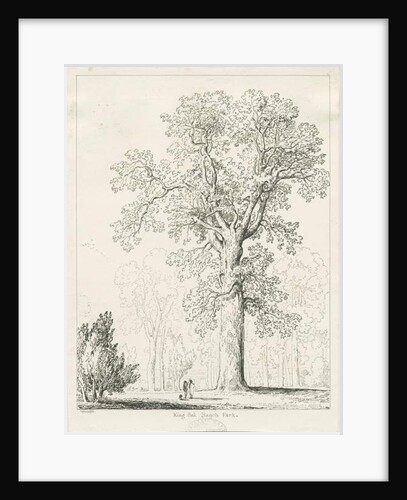 Blithfield - King Oak by Thomas Peploe Wood