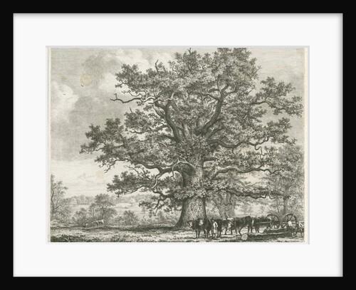Blithfield - Squitch-bank Oak : etching, 1824 by School English