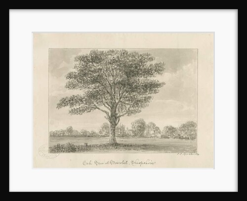 Boscobel - The Royal Oak by John Chessell Buckler