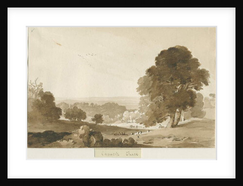 Cannock Chase by Thomas Peploe Wood