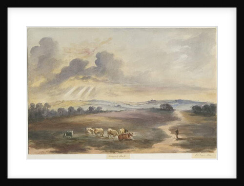 Cannock Chase - 'Heath' by Henry James Noyes
