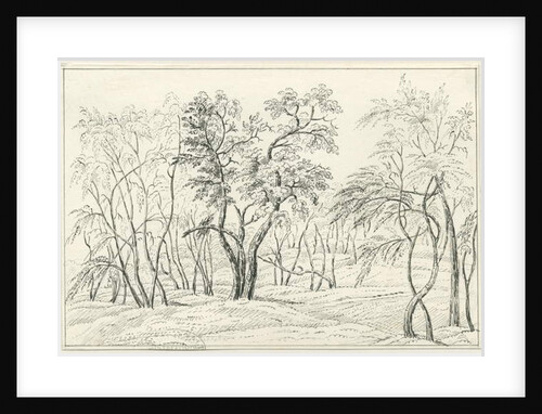 Cannock Chase by School English