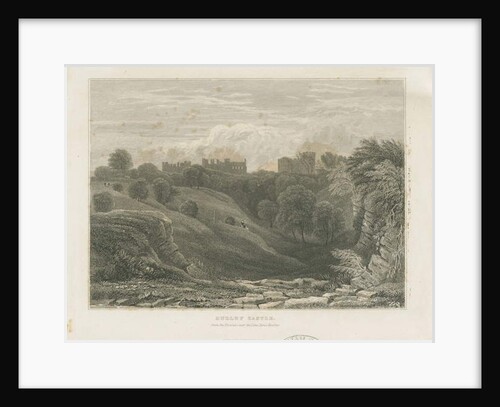 Dudley Castle by School English