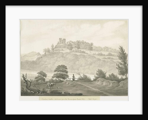 Dudley Castle by Robert Noyes