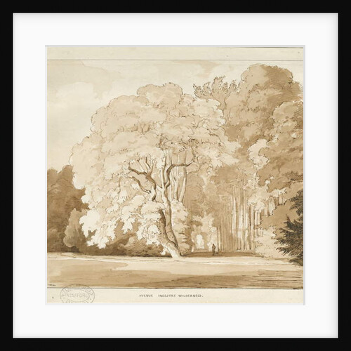 Ingestre - a study of trees by Thomas Peploe Wood