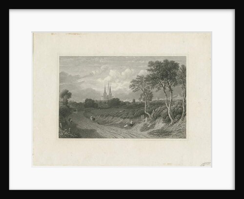 Lichfield Cathedral - West View by School English