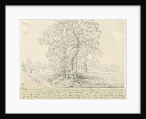 Lichfield - View across Stowe Pool by John Allport