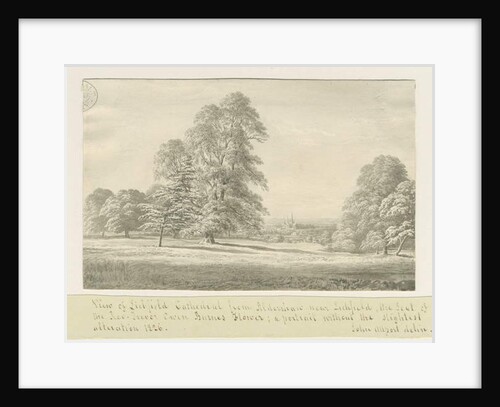 Lichfield Cathedral - View from Aldershaw by John Allport