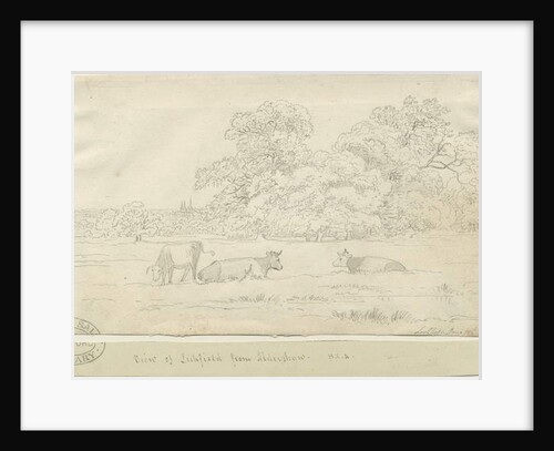 Lichfield - View from Aldershaw: pen drawing by Henry Curzon Allport