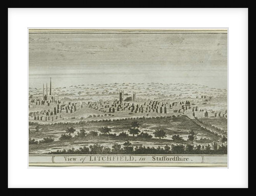 Lichfield - South West View by School English