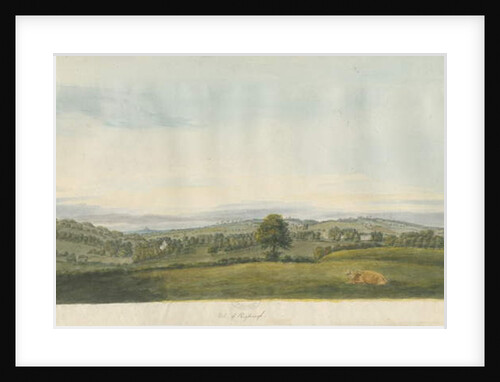 Vale of Shugborough by School English