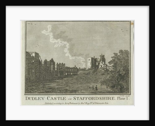 Dudley Castle by Michael Burghers