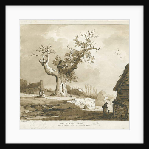 Norbury Village - 'The Norbury Elm' by Thomas Peploe Wood